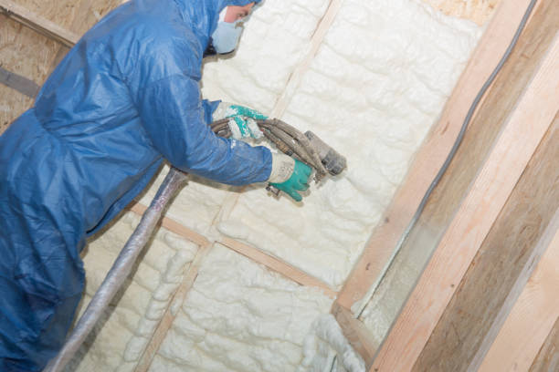 Best Eco-Friendly or Green Insulation Solutions  in USA